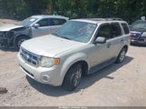 Ford Escape Xlt 1FMCU03128KC92719 снимка