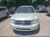Ford Escape Xlt 1FMCU03128KC92719 снимка