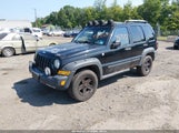 Jeep Liberty Renegade 1J4GL38K06W136125 fotografie