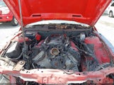 Ford Mustang Gt Premium 1ZVBP8CF5C5257520 photo