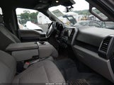 Ford F-150 Xlt 1FTEW1EP0LFB50238 fotografie