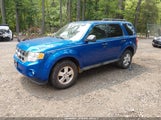 Ford Escape Xlt 1FMCU9DG6BKA48330 fotografie
