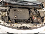 Toyota Corolla Le 2T1BU4EE1AC275070 fotografie