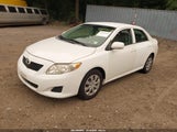 Toyota Corolla Le 2T1BU4EE1AC275070 fotografie