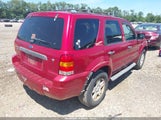 Ford Escape Xlt/Xlt Sport 1FMCU93147KB78921 fotografie