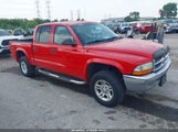 Dodge Dakota Slt 1D7HG48X53S116171 photo