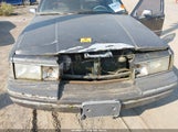 Lincoln Town Car Executive 1LNLM81W4NY638727 fotografie