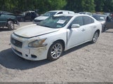 Nissan Maxima 3.5 Sv 1N4AA5AP8BC867891 fotografie