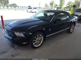 Ford Mustang V6 Premium 1ZVBP8EN8A5166744 fotografie