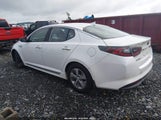 Kia Optima Hybrid KNAGM4ADXF5089595 снимка