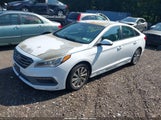 Hyundai Sonata Sport 5NPE34AF6FH075336 fotografie
