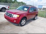 Ford Escape Xlt 1FMCU0DG6BKC54081 fotografie