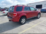 Ford Escape Xlt 1FMCU0DG6BKC54081 fotografie