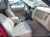 Ford Escape Xlt 1FMCU0DG6BKC54081 fotografie