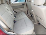 Ford Escape Xlt 1FMCU0DG6BKC54081 fotografie