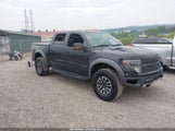 Ford F-150 Svt Raptor 1FTFW1R61DFD88817 photo