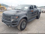 Ford F-150 Svt Raptor 1FTFW1R61DFD88817 photo