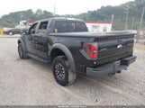 Ford F-150 Svt Raptor 1FTFW1R61DFD88817 photo