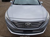 Hyundai Sonata Sport 5NPE34AFXFH142939 fotografie