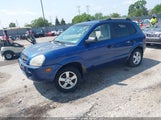 Hyundai Tucson Gls KM8JM12B37U648041 fotografie