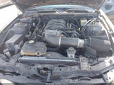 Ford Mustang Gt Deluxe/Gt Premium 1ZVFT82H375356312 photo
