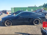 Ford Mustang Gt Deluxe/Gt Premium 1ZVFT82H375356312 photo