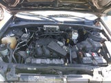 Ford Escape Xlt 1FMYU03185KB77723 photo