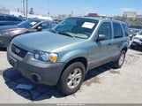 Ford Escape Xlt 1FMYU03185KB77723 photo