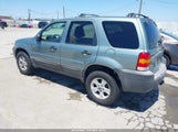 Ford Escape Xlt 1FMYU03185KB77723 photo
