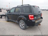 Ford Escape Xlt V6 1FMCU9DG5AKC74549 снимка