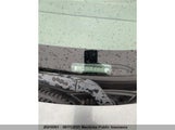 Chevrolet Malibu Ls V6 1G1ZT52894F182419 photo