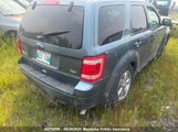 Ford Escape Xlt V6 1FMCU9DG0BKC55831 снимка