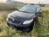 Toyota Corolla Ce 2T1BU4EE3AC336645 снимка