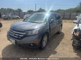 Honda Cr-V Ex 2HKRM4H58DH121290 снимка