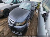 Acura Tl 19UUA66217A802329 снимка