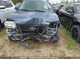 Ford Escape Xlt V6 1FMYU93145KB34954 снимка