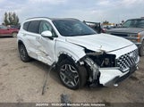 Hyundai Santa Fe Luxury Hybrid KM8S5DA10PU070301 снимка