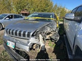 Jeep Cherokee North 1C4PJMCS5GW202419 снимка