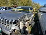Jeep Cherokee North 1C4PJMCS5GW202419 снимка