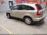 Honda Cr-V Ex 5J6RE487X8L806823 photo