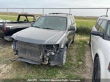 Ford Escape Xlt 1FMCU93G99KC18496 снимка
