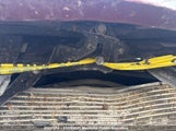 Dodge Grand Caravan Sxt 2C4RDGBG4JR254980 снимка