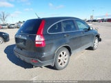 Honda Cr-V Ex 5J6RE48597L813534 снимка