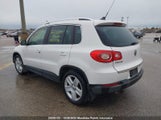 Volkswagen Tiguan 2.0 Tsi WVGBV7AX3BW531798 photo