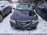 Acura Tsx JH4CL96834C801420 снимка