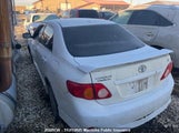 Toyota Corolla S 2T1BU40E09C049301 снимка