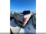 Ford F150 Xlt Supercrew 1FTFW1E51LKF29243 fotografie