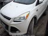 Ford Escape Sel 1FMCU9H92DUD59384 снимка