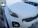 Kia Sportage Ex KNDPNCAC6H7167542 снимка