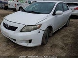 Toyota Corolla Le 2T1BU40E09C092214 fotografie